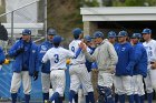 Baseball vs Babson  Wheaton College Baseball vs Babson during NEWMAC Championship Tournament. - (Photo by Keith Nordstrom) : Wheaton, baseball, NEWMAC